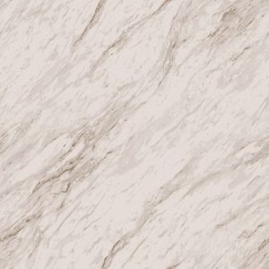 Class_NF8E018