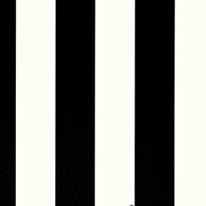Classic_Stripes_889008