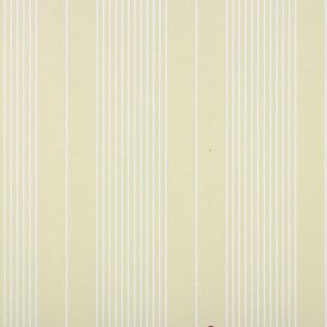 Classic_Stripes_889047