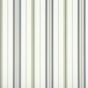 Classic_Stripes_889049