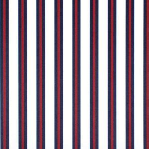 Classic_Stripes_889053