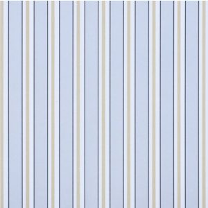 Classic_Stripes_889054