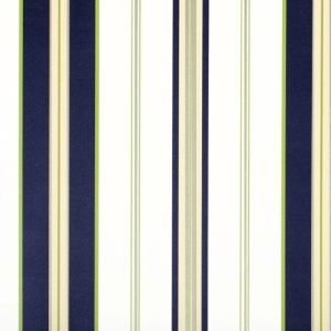 Classic_Stripes_889066
