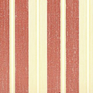 Classic_Stripes_889084