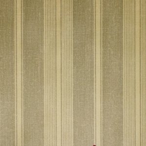 Classic_Stripes_889085