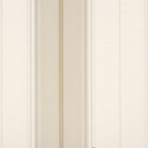 Classic_Stripes_889104