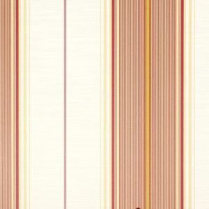 Classic_Stripes_889105