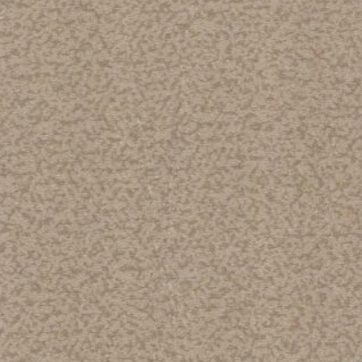 Classici_2_2A092488R