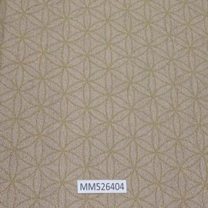 Modern-Maison_MM526404