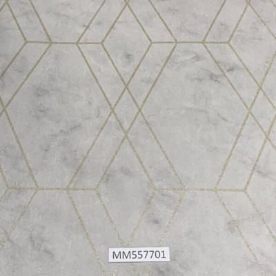 Modern-Maison_MM557701