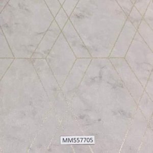 Modern-Maison_MM557705