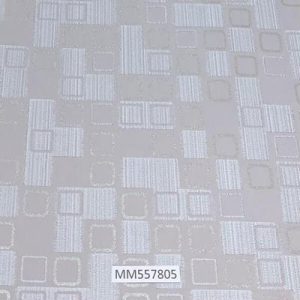 Modern-Maison_MM557805