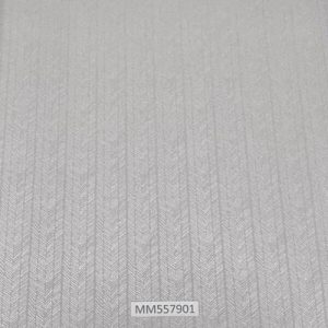 Modern-Maison_MM557901