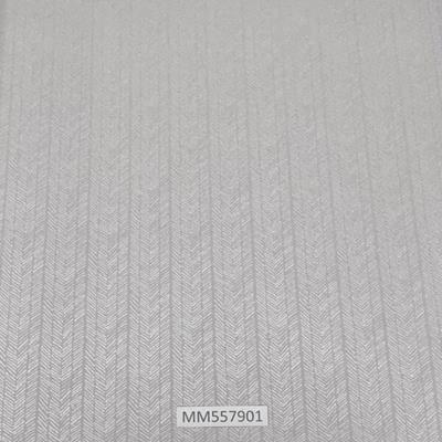 Modern-Maison_MM557901
