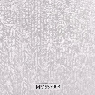 Modern-Maison_MM557903