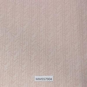 Modern-Maison_MM557904
