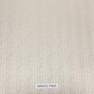 Modern-Maison_MM557905