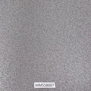 Modern-Maison_MM558007