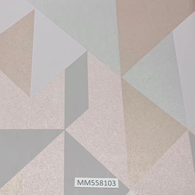 Modern-Maison_MM558103