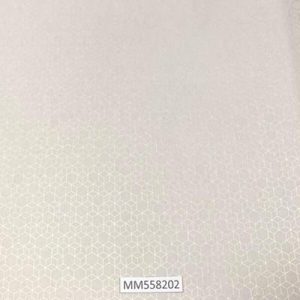 Modern-Maison_MM558202