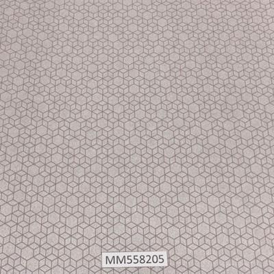 Modern-Maison_MM558205