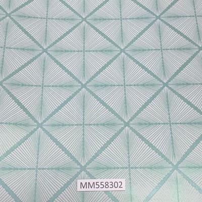 Modern-Maison_MM558302