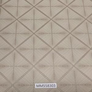 Modern-Maison_MM558303
