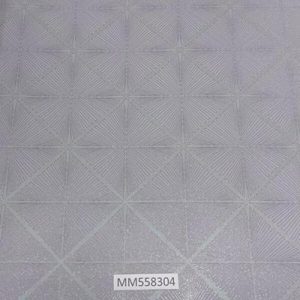 Modern-Maison_MM558304