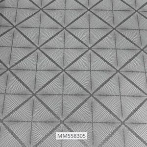 Modern-Maison_MM558305
