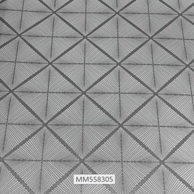 Modern-Maison_MM558305