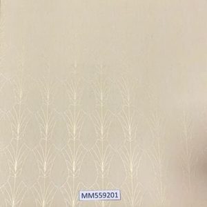 Modern-Maison_MM559201