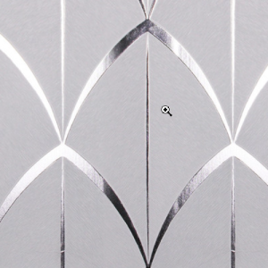 White_swan_WS100401R