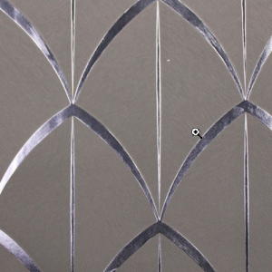 White_swan_WS100404R