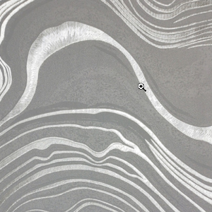 White_swan_WS100602R