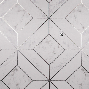 White_swan_WS100701R