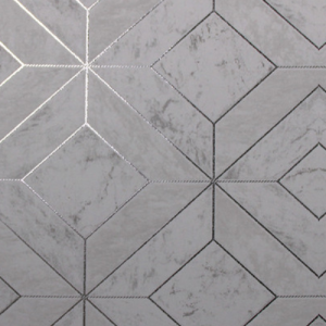 White_swan_WS100703R