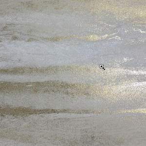 White_swan_WS100801R