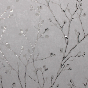 White_swan_WS100901R