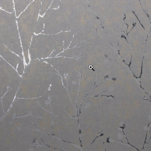 White_swan_WS100903R