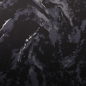 White_swan_WS101101R