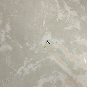 White_swan_WS101102R