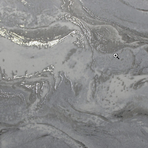 White_swan_WS101201R