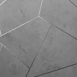 White_swan_WS101302R