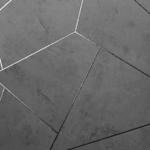 White_swan_WS101304R