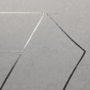 White_swan_WS101402R