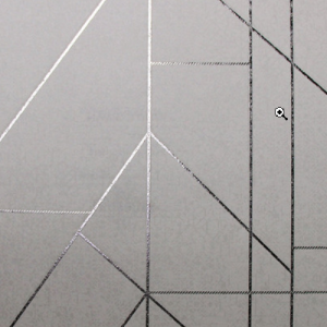 White_swan_WS101501R