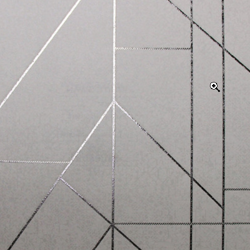 White_swan_WS101501R