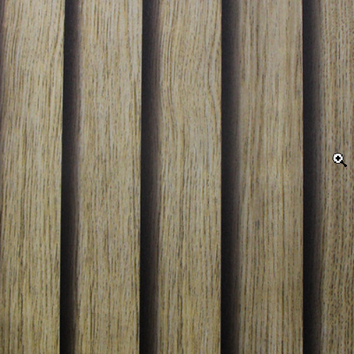 White_swan_WS101802R